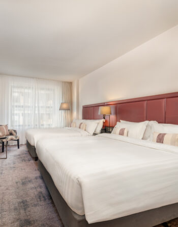 Deluxe Double Double