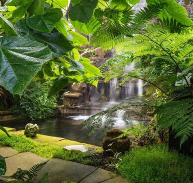 Tranquil hotel garden with lush greenery, waterfall, and serene pond, offering a peaceful retreat for guests.