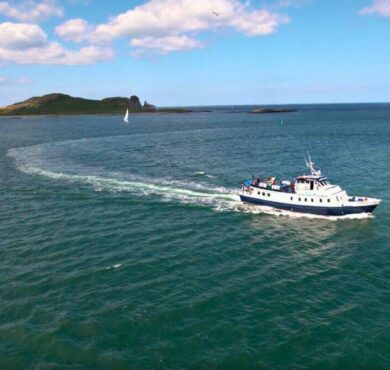 Enjoy serene sea views with lighthouse and passing boat by a picturesque island near the hotel.