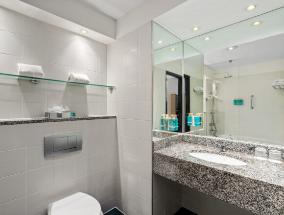 Deluxe Bathroom 519