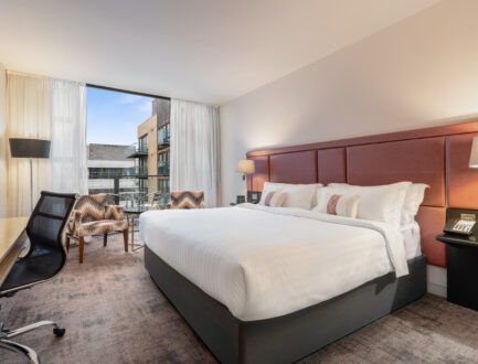 Deluxe King Balcony 519