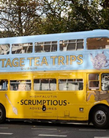 Vintage double-decker bus for tea tours parked among trees, offering charming Dublin sightseeing experience.